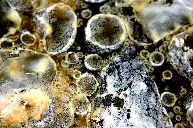 1685612206128946.jpg 油品雜質在線檢測